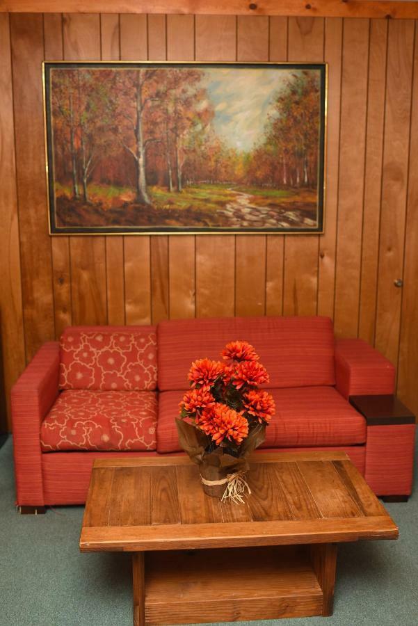 Chestnut Grove Family Resort マウント・ポコノ エクステリア 写真
